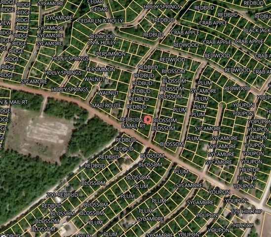 Lot 15 Blossom, Normangee, TX 77871