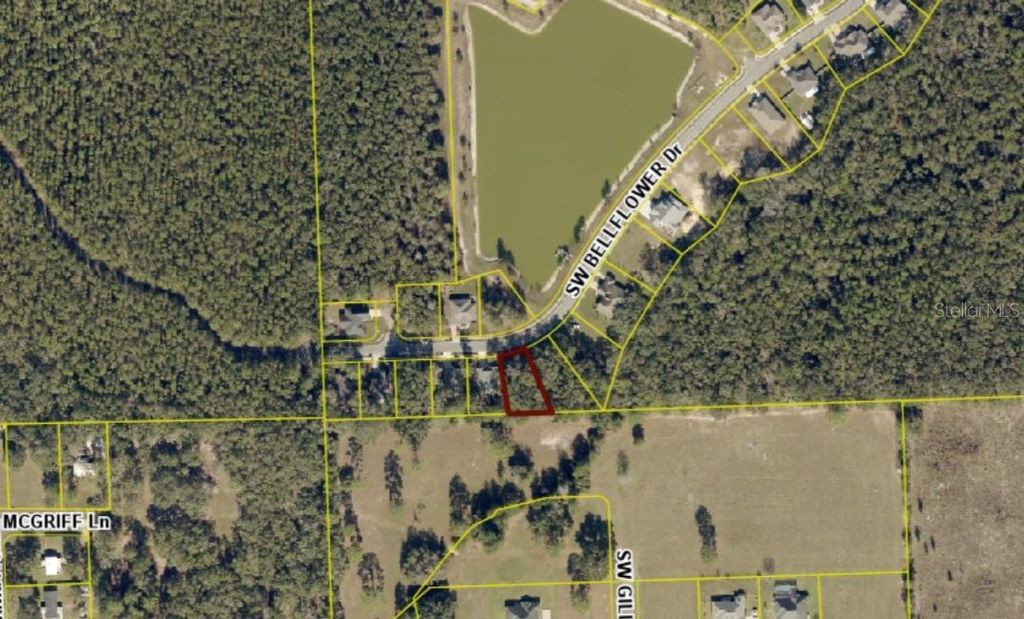 593 SW BELLFLOWER DRIVE, Lake City, FL 32024