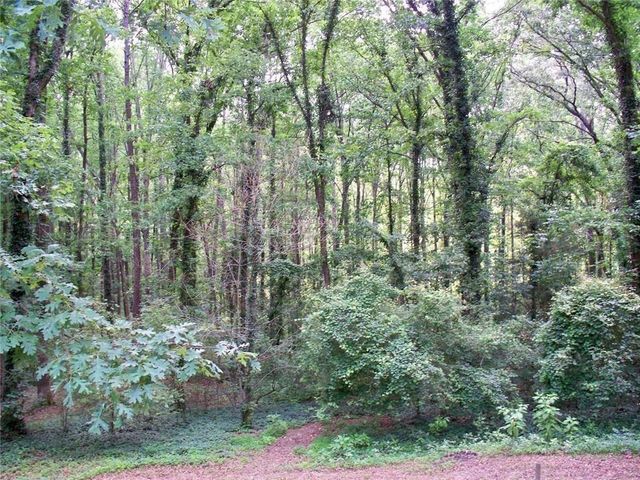 219 Park Avenue, Woodstock, GA 30188