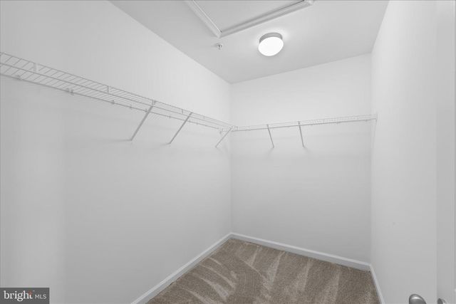 310 APPLEBY SCHOOL RD, Cambridge, MD 21613