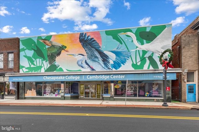 310 APPLEBY SCHOOL RD, Cambridge, MD 21613