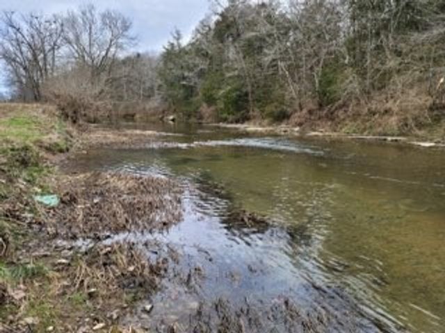 17 Winding Hills Ln, Gordonsville, TN 38563