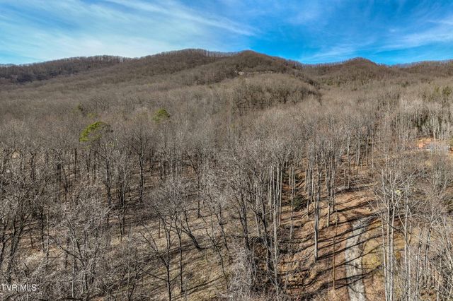 Tbd Buchanan Road, Jonesborough, TN 37659
