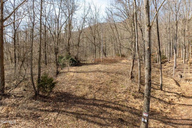 Tbd Buchanan Road, Jonesborough, TN 37659
