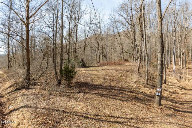 Tbd Buchanan Road, Jonesborough, TN 37659