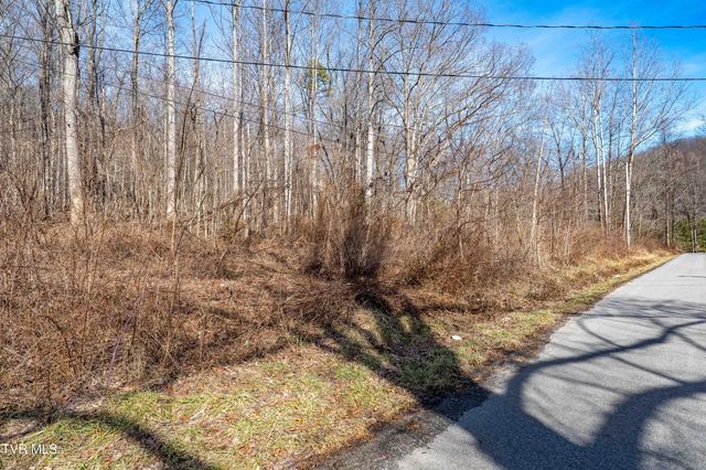 Tbd Buchanan Road, Jonesborough, TN 37659