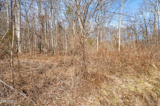 Tbd Buchanan Road, Jonesborough, TN 37659