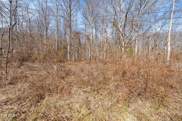 Tbd Buchanan Road, Jonesborough, TN 37659