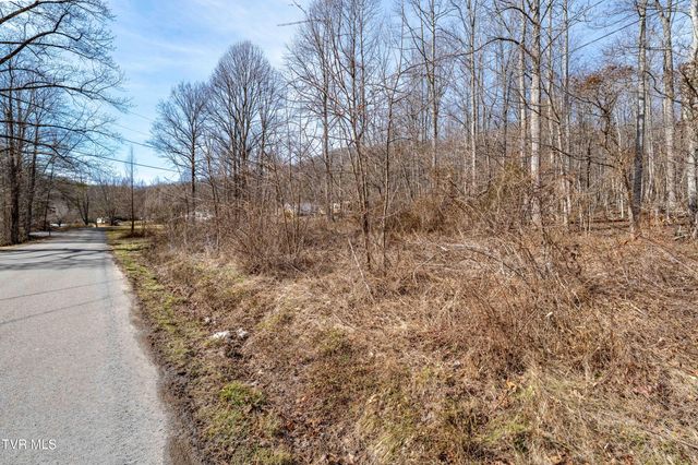 Tbd Buchanan Road, Jonesborough, TN 37659