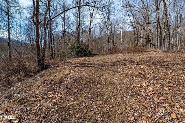 Tbd Buchanan Road, Jonesborough, TN 37659
