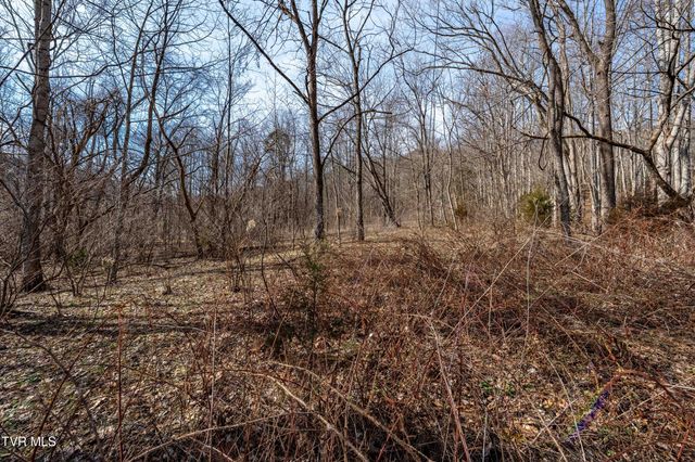 Tbd Buchanan Road, Jonesborough, TN 37659