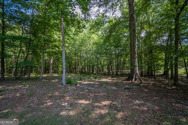 1181 Pete Dickens Road, Bogart, GA 30622