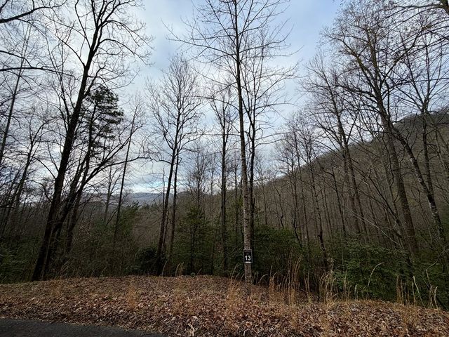 Lot 13 The Highlands, Hiawassee, GA 30546