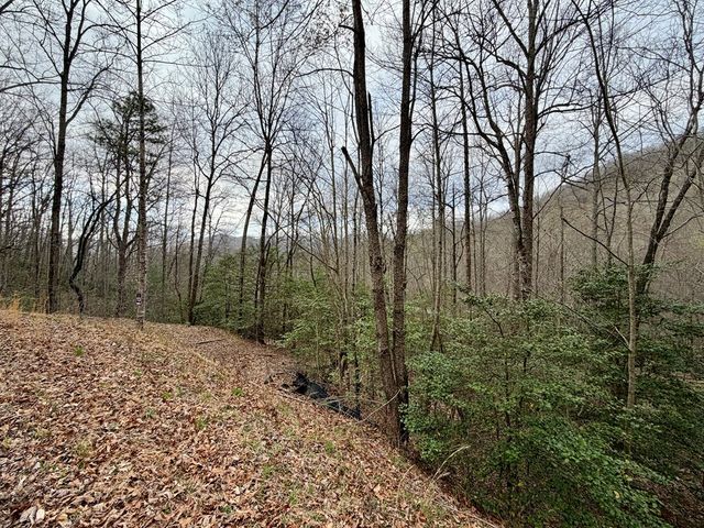 Lot 13 The Highlands, Hiawassee, GA 30546