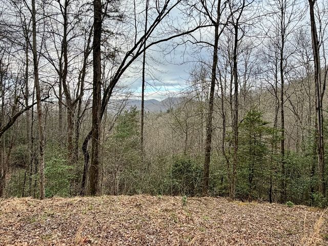 Lot 13 The Highlands, Hiawassee, GA 30546