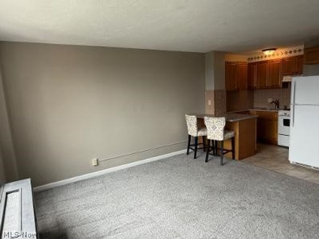 11850 Edgewater Drive 925, Lakewood, OH 44107