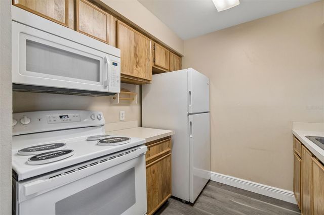 14301 HANGING MOSS CIRCLE 202, Tampa, FL 33613