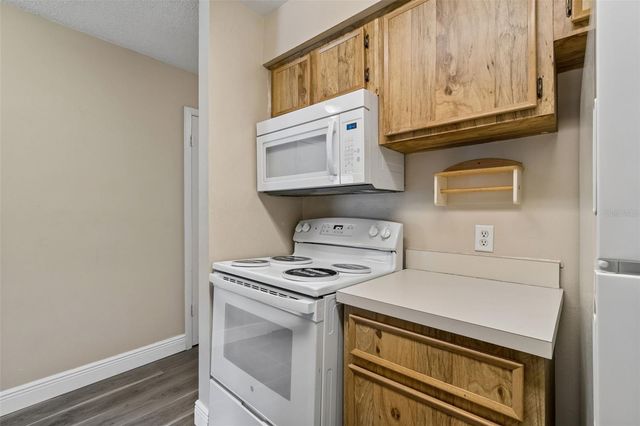 14301 HANGING MOSS CIRCLE 202, Tampa, FL 33613