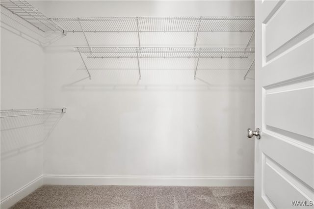 9552 Havenridge Loop 50, Tuscaloosa, AL 35405