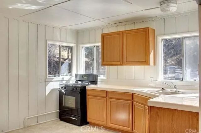 512 S Marlowe Drive, Big Bear City, CA 92314