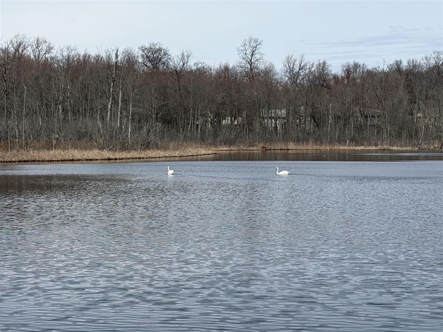 6150 Willow Road, West Bloomfield, MI 48324