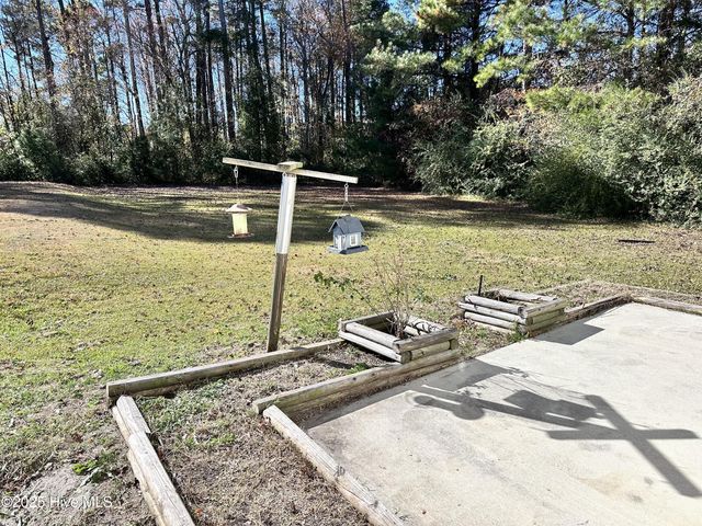 202 Scout Lane, Chinquapin, NC 28521