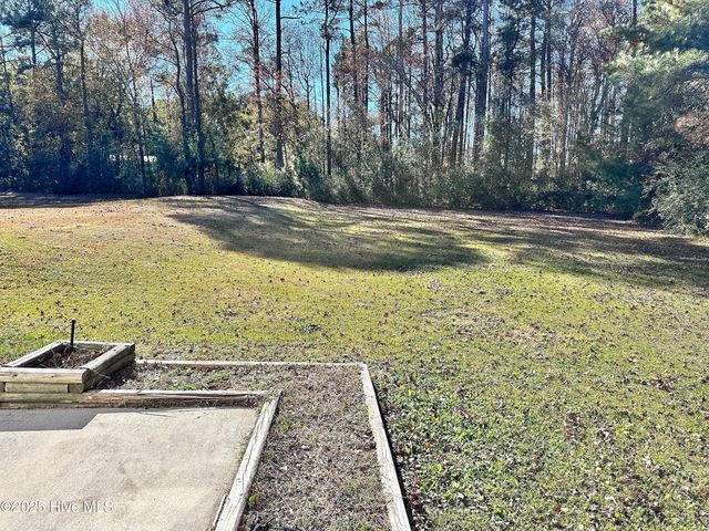 202 Scout Lane, Chinquapin, NC 28521