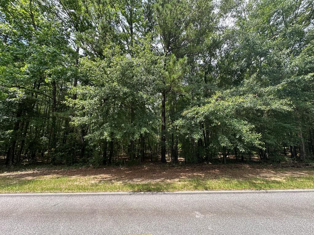 9405 Chattsworth Road, Midland, GA 31820