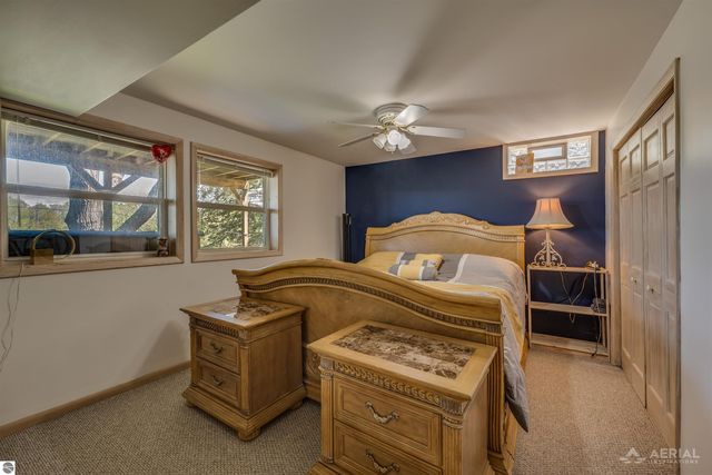 100 Lakeview Drive, Hale, MI 48739