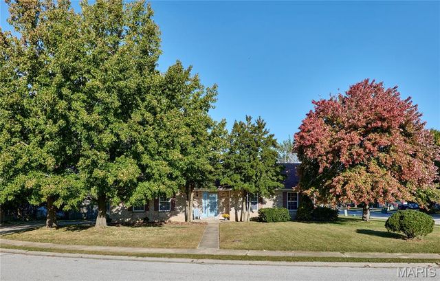 601 Rain Hollow Drive, O'fallon, IL 62269