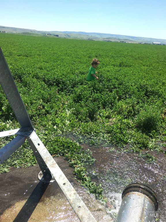 TBD Old Highway, Midvale, ID 83645 photo 17