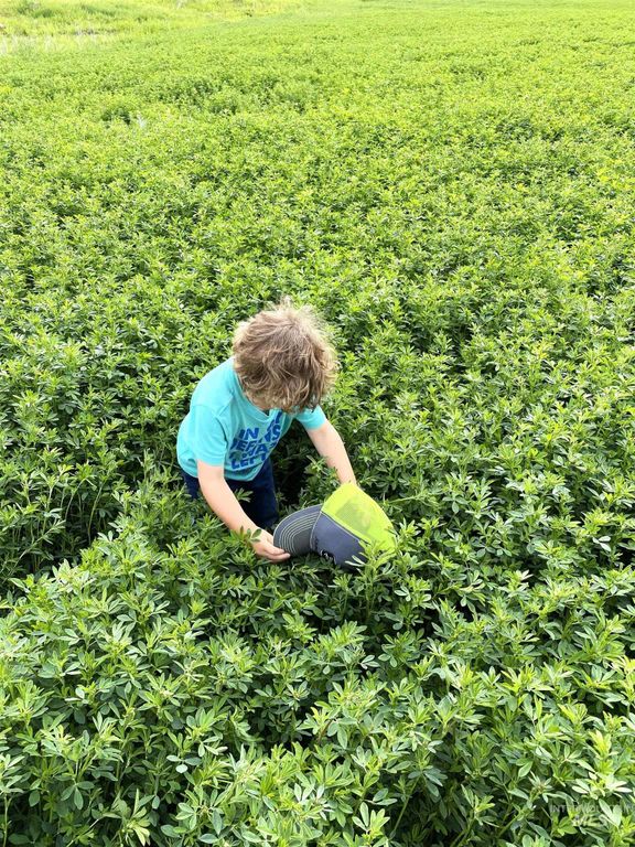 TBD Old Highway, Midvale, ID 83645 photo 19