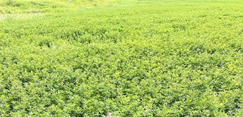 TBD Old Highway, Midvale, ID 83645 photo 20