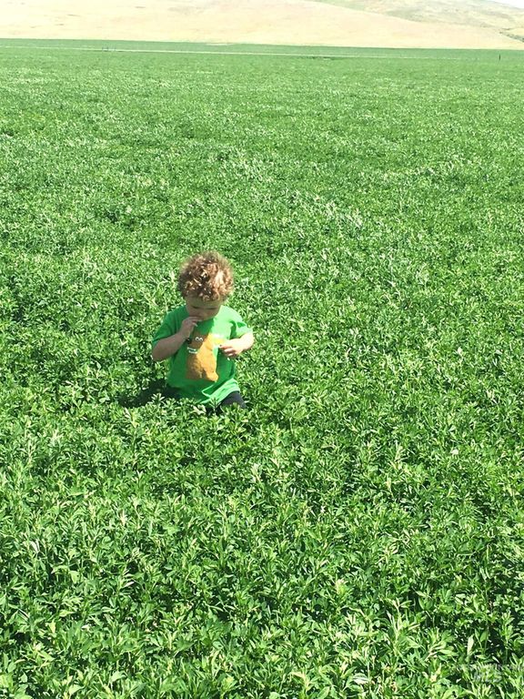 TBD Old Highway, Midvale, ID 83645 photo 5