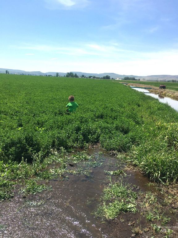 TBD Old Highway, Midvale, ID 83645 photo 6