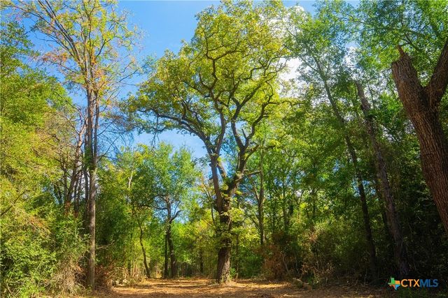 12582 Red Hill Rd, Hearne, TX 77859