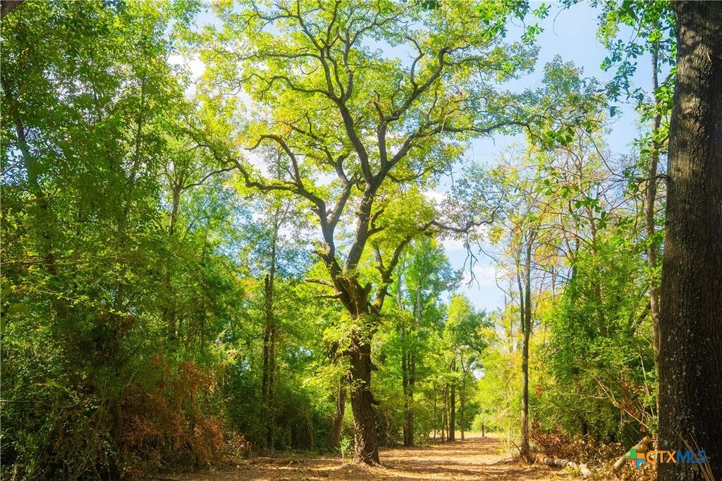 12582 Red Hill Rd, Hearne, TX 77859