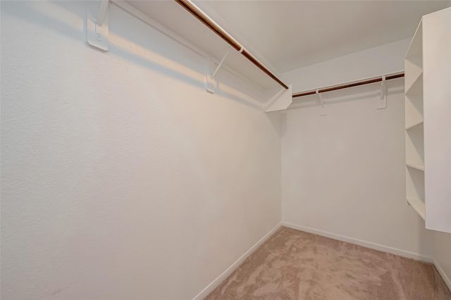 1016 Greenshank Drive, Katy, TX 77493