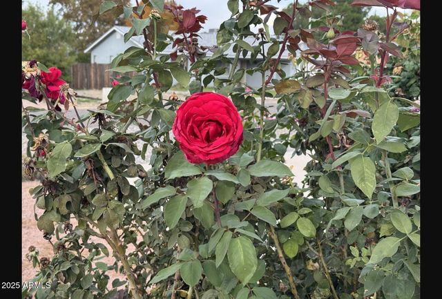 4391 E CANYON Drive, Camp Verde, AZ 86322