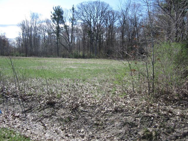 0 Lake Michigan Drive, West Olive, MI 49460