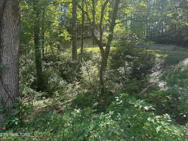6001 Wilkerson Rd, Knoxville, TN 37912