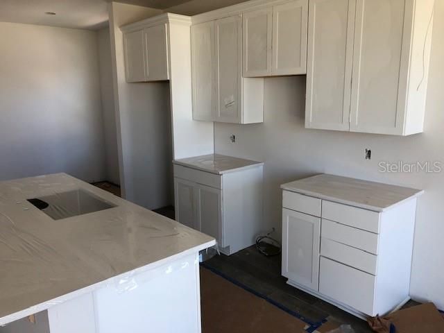 360 BUCHANNAN DRIVE, Davenport, FL 33837