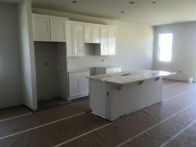 360 BUCHANNAN DRIVE, Davenport, FL 33837