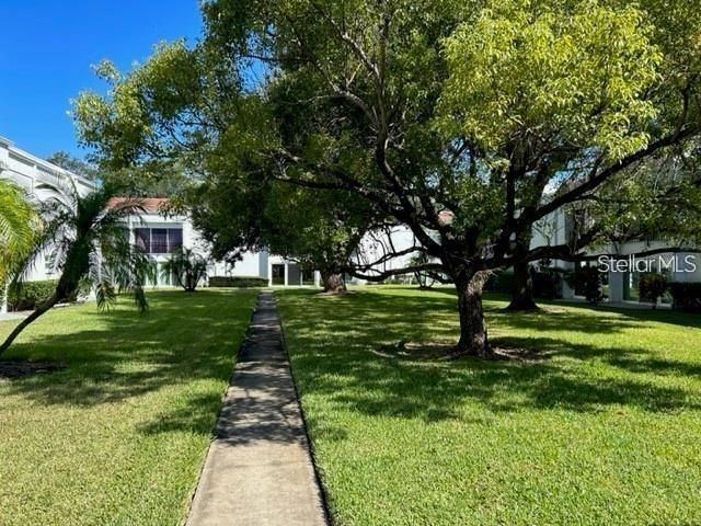 2060 MARILYN STREET 124, Clearwater, FL 33765