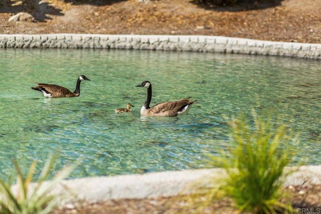 5704 Baltimore Dr. 304, La Mesa, CA 91942
