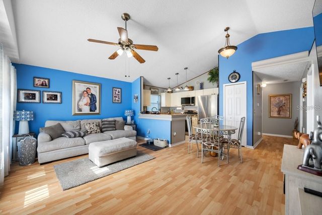 13132 CARROLLWOOD CREEK DRIVE, Tampa, FL 33624