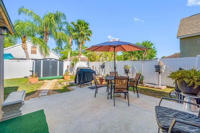 13132 CARROLLWOOD CREEK DRIVE, Tampa, FL 33624