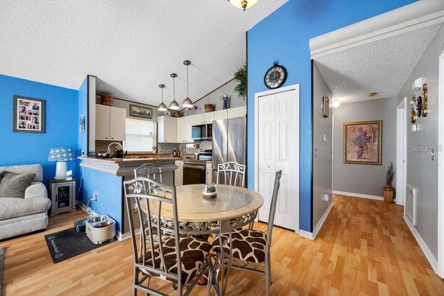 13132 CARROLLWOOD CREEK DRIVE, Tampa, FL 33624