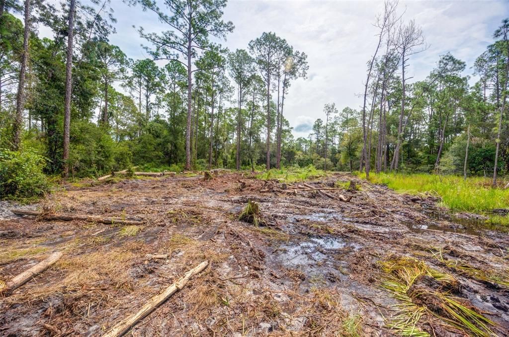 34389 GRINDSTONE DRIVE, Webster, FL 33597