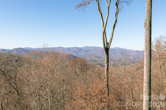 755 Andrew Banks Road, Burnsville, NC 28714